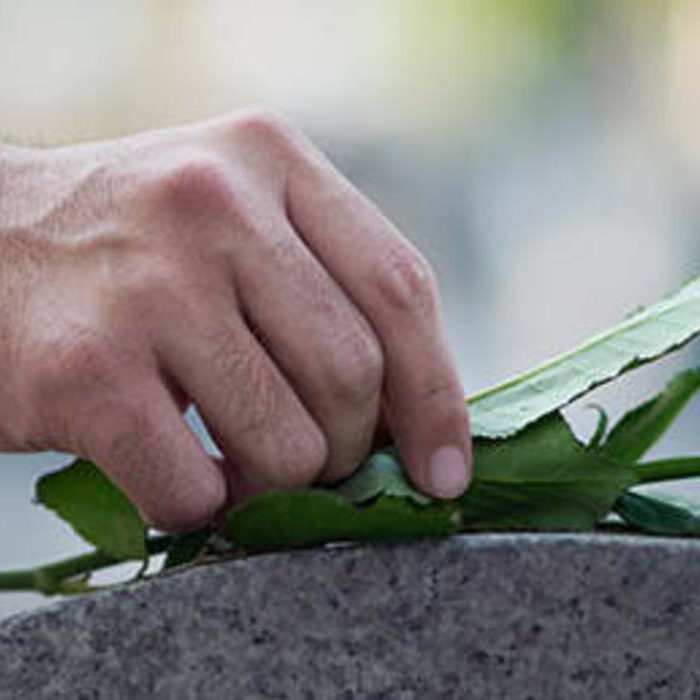 Cropped shot of a man placing a white rose on a grave